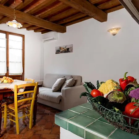 Tenuta Aronne Massa Marittima
